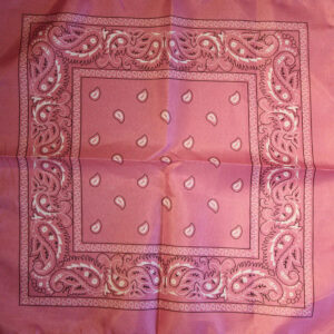 Paisley rosa