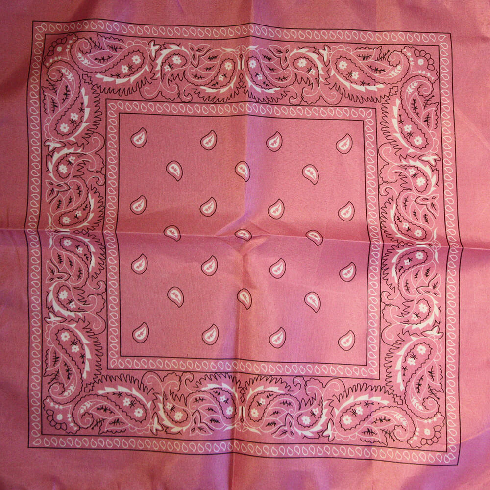 Paisley rosa