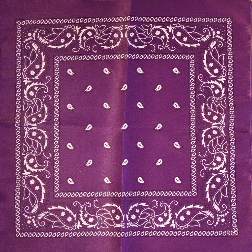 Paisley lila