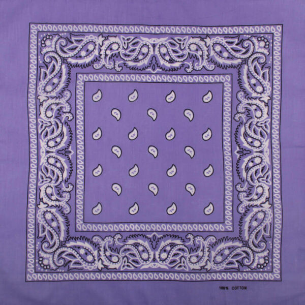 Paisley lila