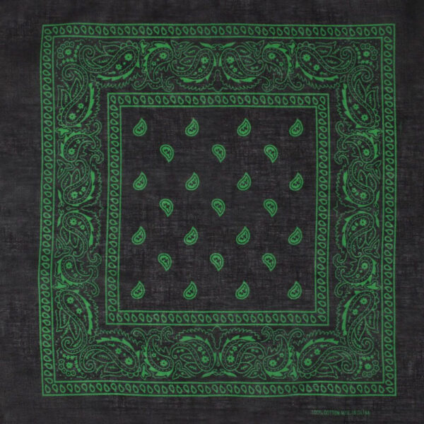 Paisley svart med grönt mönster