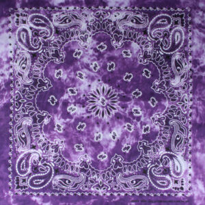 Paisley lila nyanser