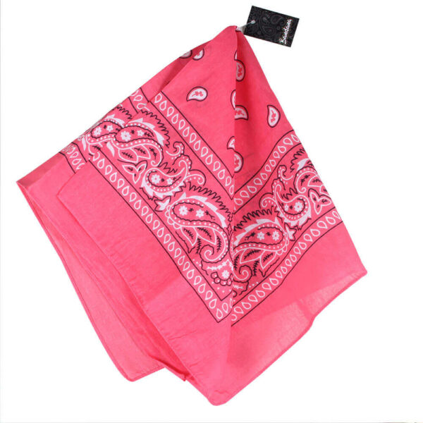 Paisley rosa - Bild 2