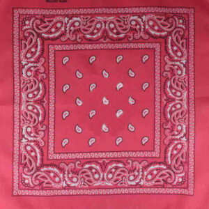 Paisley rosa