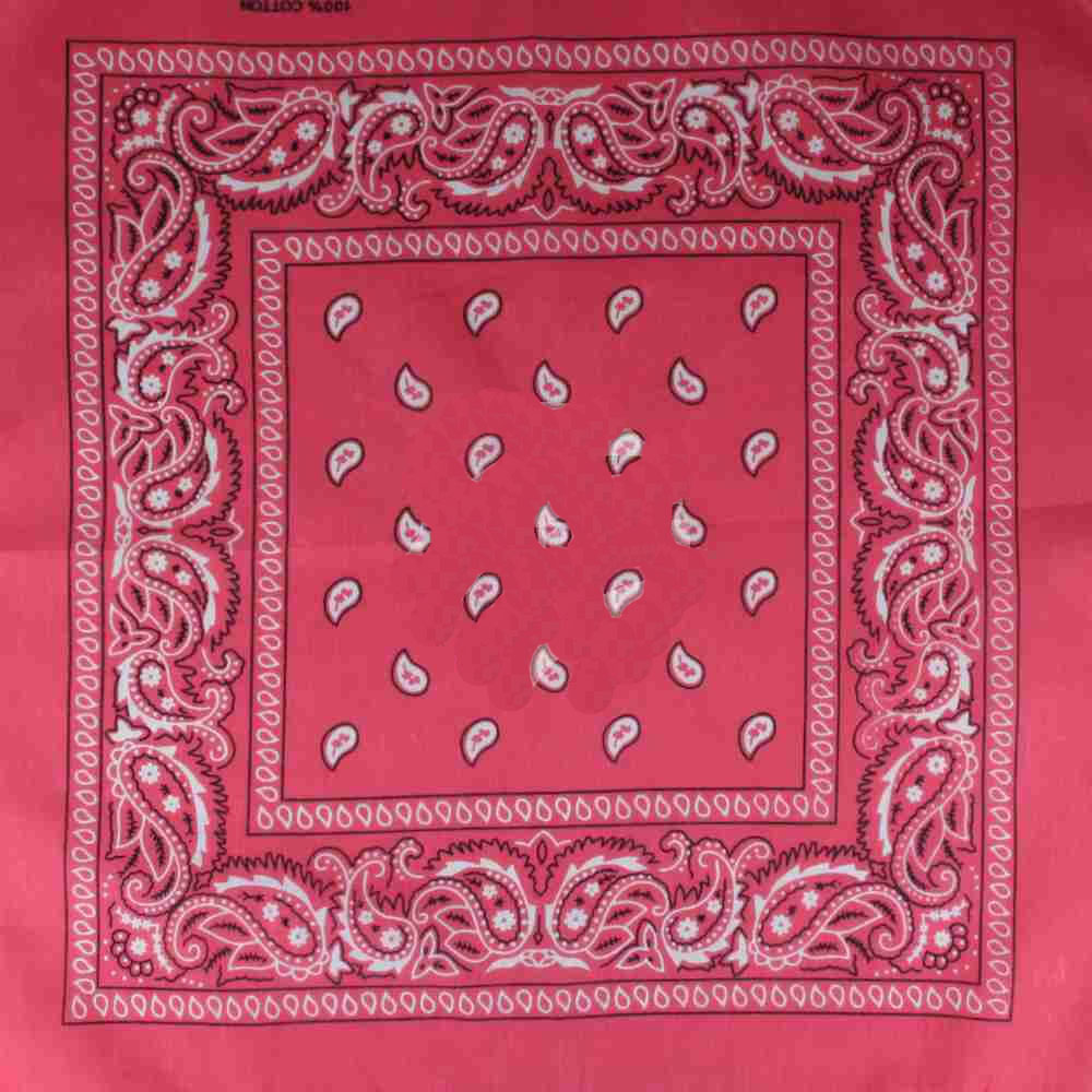 Paisley rosa