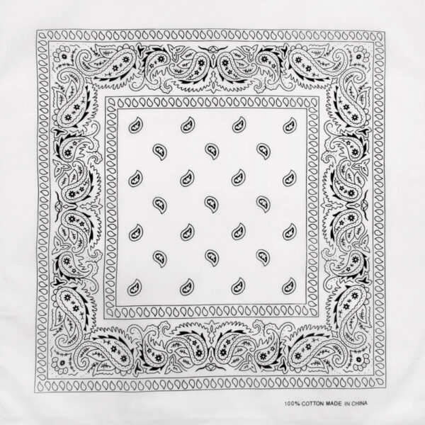 Paisley vit