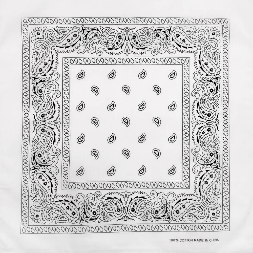 Paisley vit