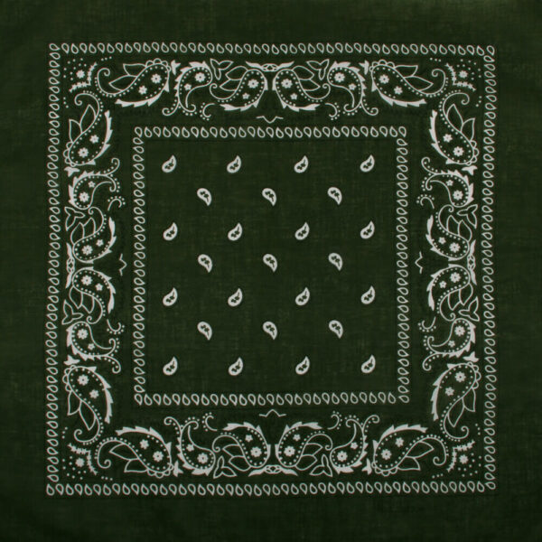 Olivgrön paisley