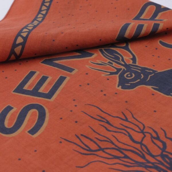 Jackalope - Bild 2