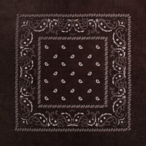 Paisley brun