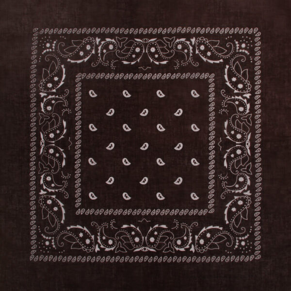 Paisley brun