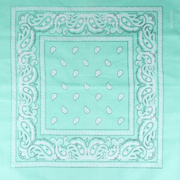 Paisley mintgrön