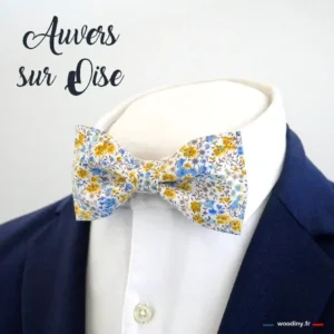 auvers-sur