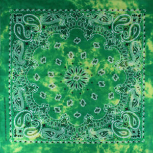Paisley gröna nyanser